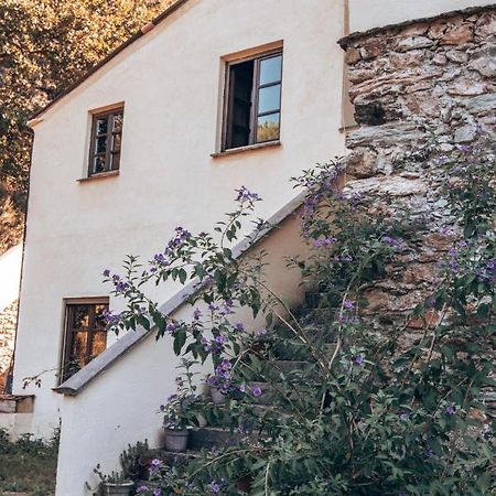 Le Petit Chateau Vezzi Portio Exterior foto